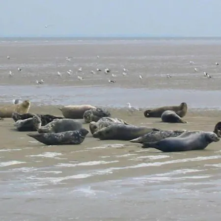 In Netherlands With Hot Tub & Garden Hippolytushoef
