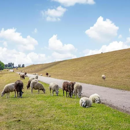 In Netherlands With Hot Tub & Garden Βίλα Hippolytushoef