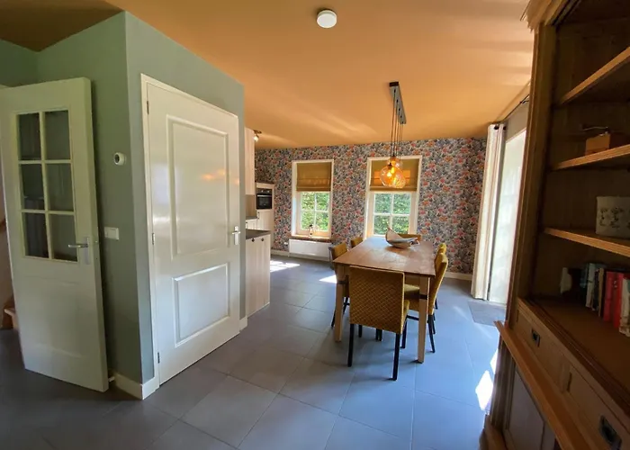 In Netherlands With Hot Tub & Garden Hippolytushoef