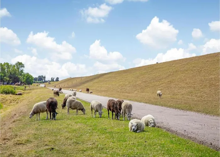 In Netherlands With Hot Tub & Garden Villa Hippolytushoef