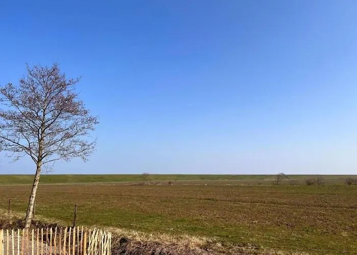Villa In Netherlands With Hot Tub & Garden *